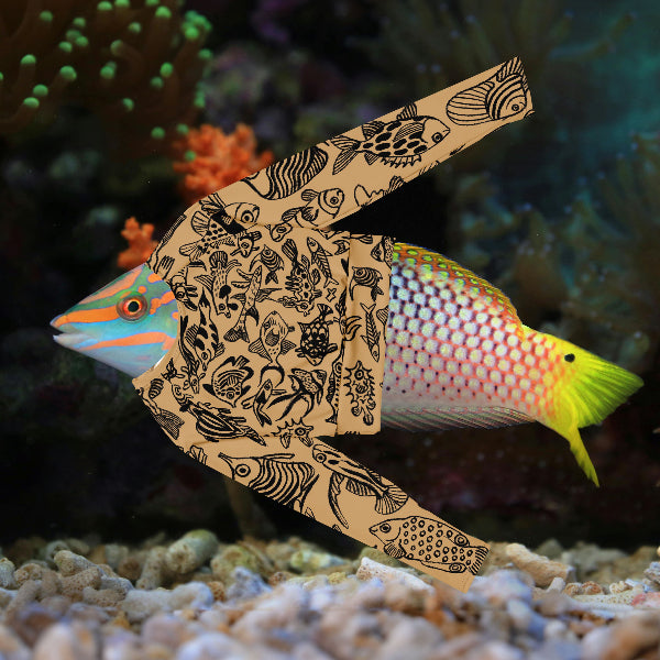 Funny image of a fish wearing a Dry Dreams There is Plenty Fish In The Sea Recycled Crop Top on a coral reef